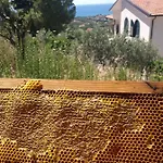 Panacea La Casa Del Miele 3* Santa Maria di Castellabate