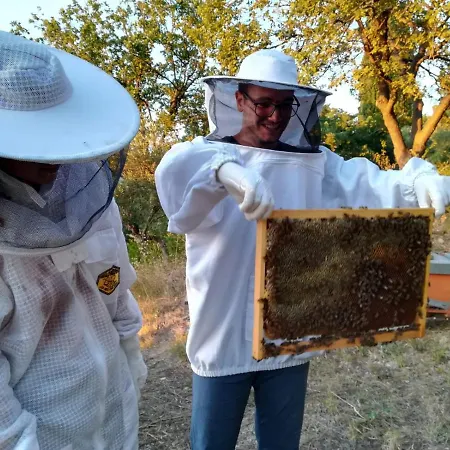 Panacea La Casa Del Miele ベッド・アンド・ブレックファスト 3*