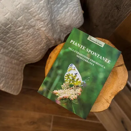 Panacea La Casa Del Miele 3* サンタ・マリア・ディ・カステッラバーテ