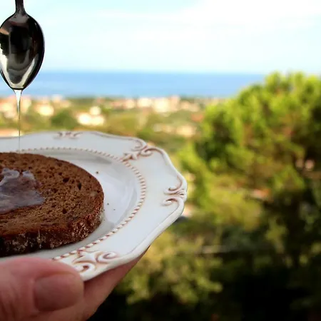 Panacea La Casa Del Miele Santa Maria di Castellabate