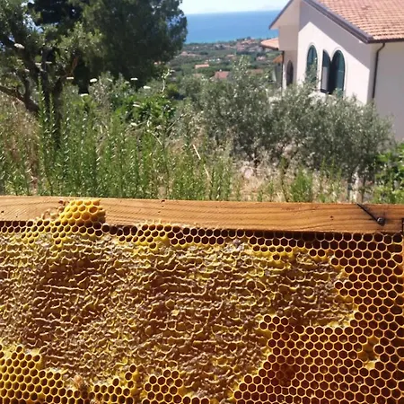 Panacea La Casa Del Miele 3* Santa Maria di Castellabate